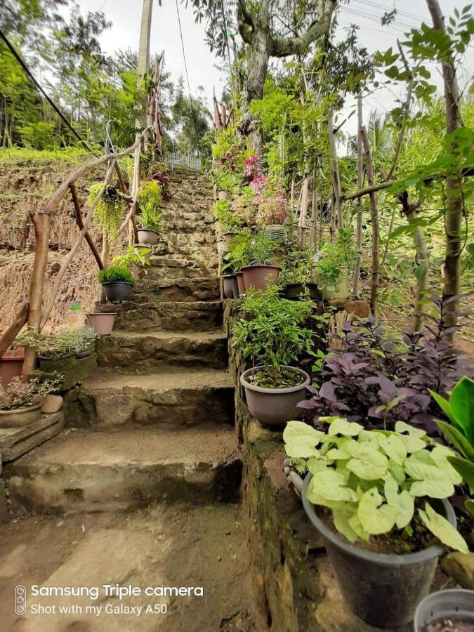 Biwon Homestay 엘라 외부 사진
